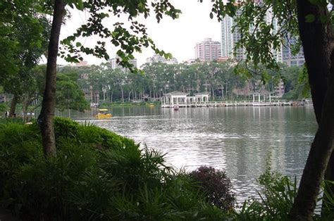 天河公園哪個網吧？網吧裡的燈光與公園外的星空，是否有一種奇妙的對比？